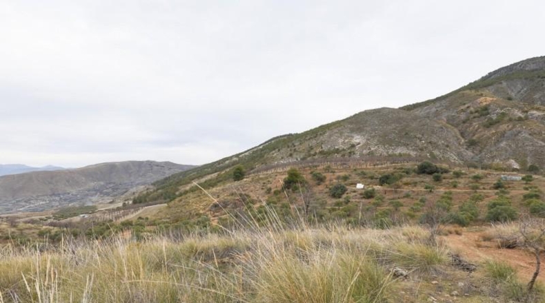 Granada - Monachil - 28732m2