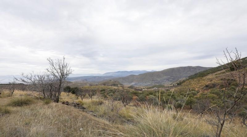 Granada - Monachil - 28732m2