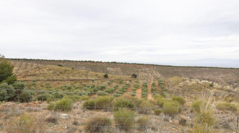 Granada - Monachil - 28732m2