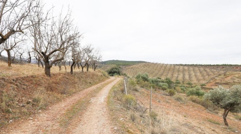 Granada - Monachil - 28732m2