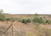 Terreno no urbanizable en venta en la España, Monachil, ref: TR371507 foto
