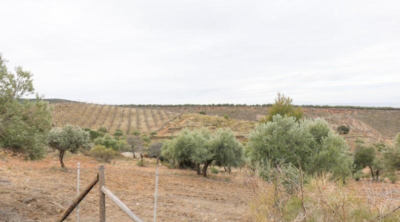 Granada - Monachil - 28732m2