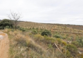 Terreno no urbanizable en venta en la España, Monachil, ref: TR371507 foto