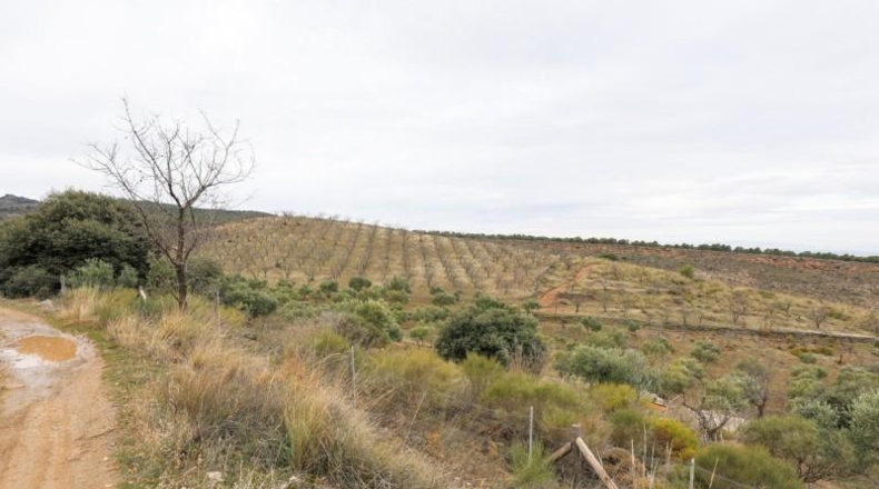Granada - Monachil - 28732m2