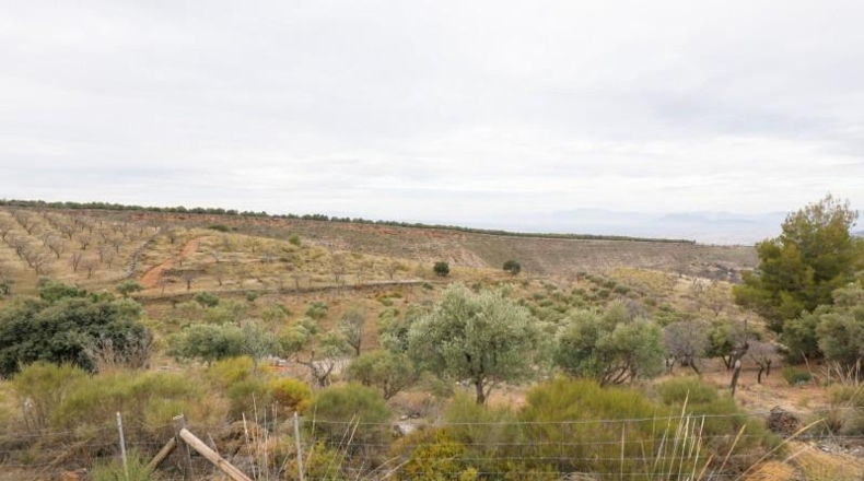 Granada - Monachil - 28732m2