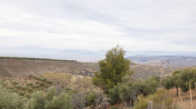 Granada - Monachil - 28732m2