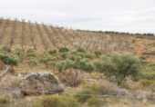Terreno no urbanizable en venta en la España, Monachil, ref: TR371507 foto