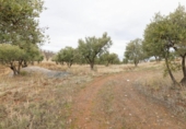 Terreno no urbanizable en venta en la España, Monachil, ref: TR371507 foto