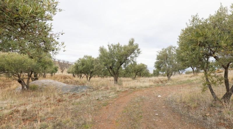 Granada - Monachil - 28732m2