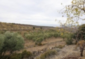 Terreno no urbanizable en venta en la España, Monachil, ref: TR371507 foto