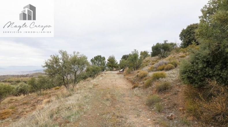 Granada - Monachil - 28732m2