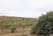 Terreno no urbanizable en venta en la España, Monachil, ref: TR377521 foto