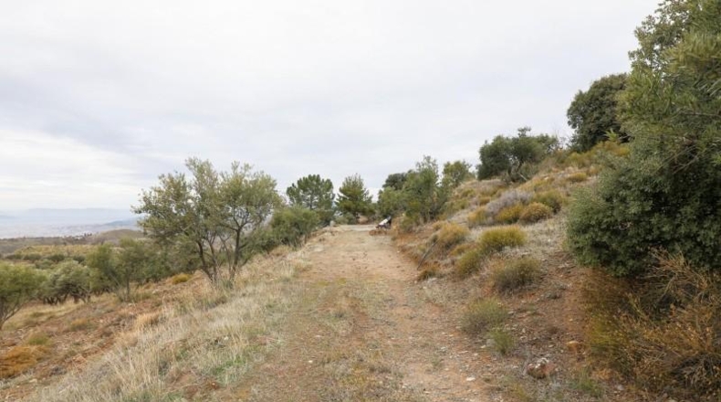 Granada - Monachil - 28732m2