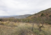 Terreno no urbanizable en venta en la España, Monachil, ref: TR377521 foto