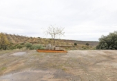 Terreno no urbanizable en venta en la España, Monachil, ref: TR374223 foto