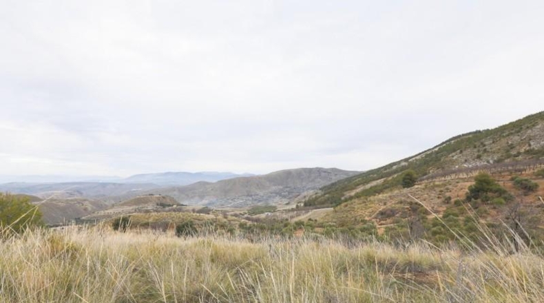 Granada - Monachil - 28732m2