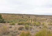 Terreno no urbanizable en venta en la España, Monachil, ref: TR371131 foto