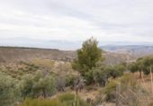 Terreno no urbanizable en venta en la España, Monachil, ref: TR371131 foto