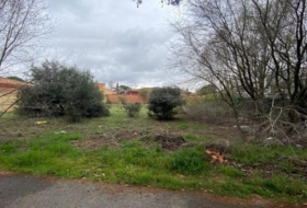 Nuevo Baztán 919&nbsp;m²