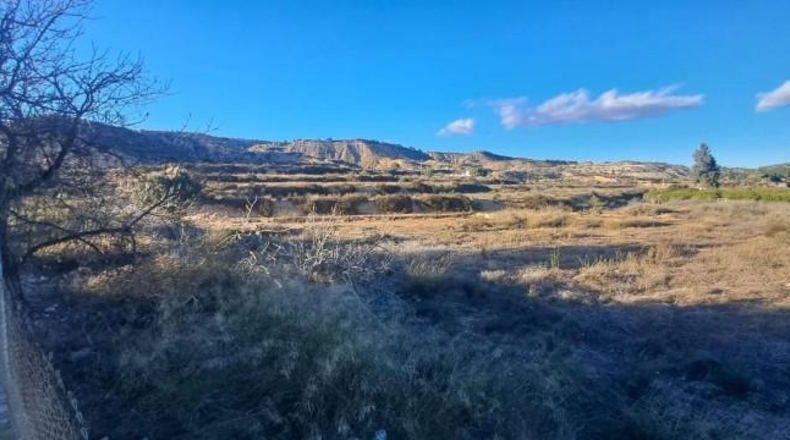 Murcia - Librilla - 15574m2