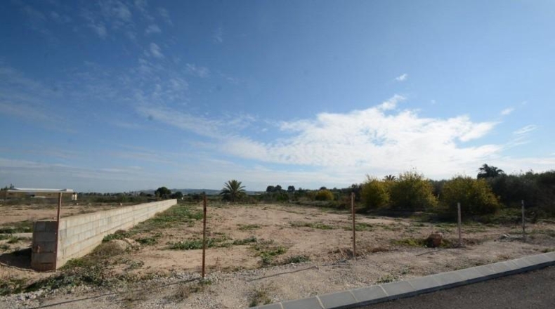 Alicante - Bigastro - 776m2