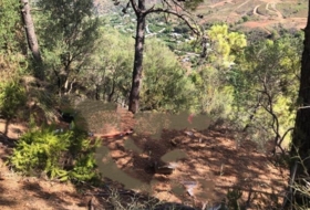 Estepona 9700&nbsp;m²