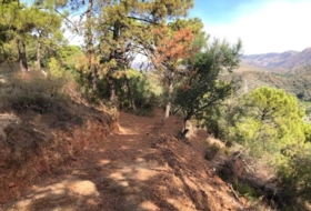 Estepona 9700&nbsp;m²