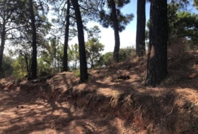 Estepona 9700&nbsp;m²