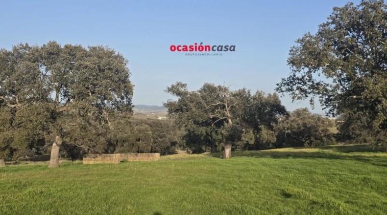 Córdoba - Fuente Obejuna - 212626m2