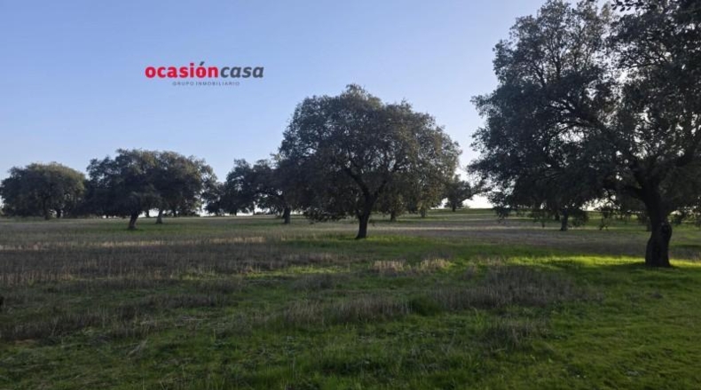 Córdoba - Fuente Obejuna - 212626m2