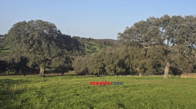Córdoba - Fuente Obejuna - 212626m2