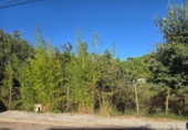 Suelo urbano en venta en la España, Vacarisses, ref: TR377725 foto