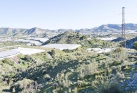 Motril 19114&nbsp;m²