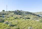 Terreno no urbanizable en venta en la España, Motril, ref: TR409578 foto