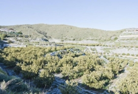 Motril 19114&nbsp;m²