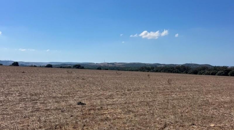Cadiz - Vejer de la Frontera - 35000m2