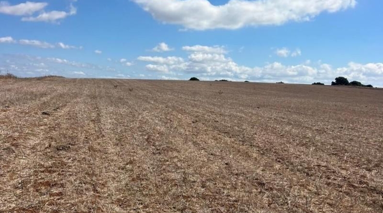 Cadiz - Vejer de la Frontera - 35000m2