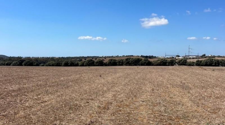 Cadiz - Vejer de la Frontera - 35000m2