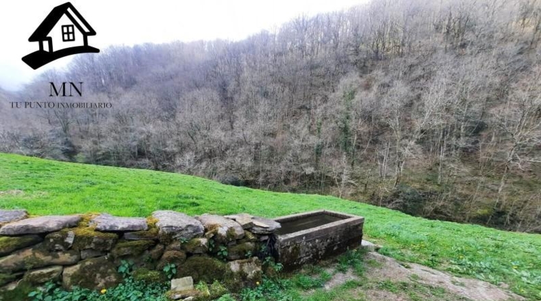 Cantabria - Вега-де-Пас - 15432m2