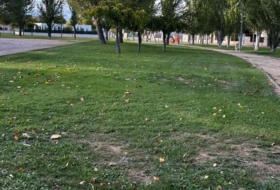 Utebo 504&nbsp;m²