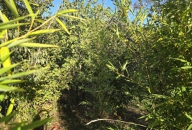 Foto 10