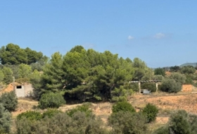 Foto 14