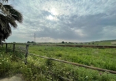 Detached villa with land for sale on España, Niebla, ref: TR407481 photo