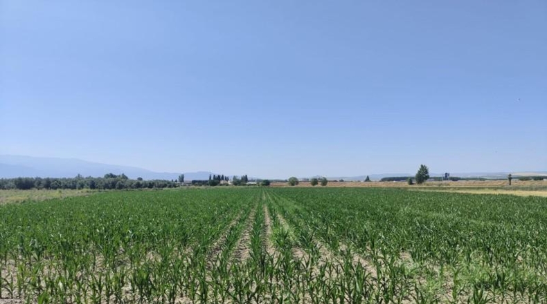 Granada - Atarfe - 22010m2