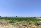Terreno no urbanizable en venta en la España, Atarfe, ref: TR322841 foto