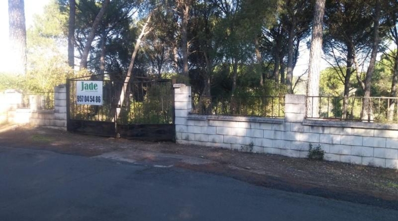 Córdoba - Córdoba - 2200m2