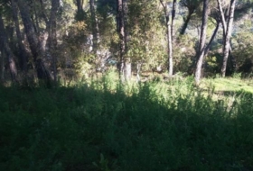 Foto 9
