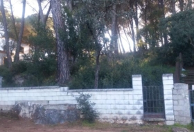 Foto 8