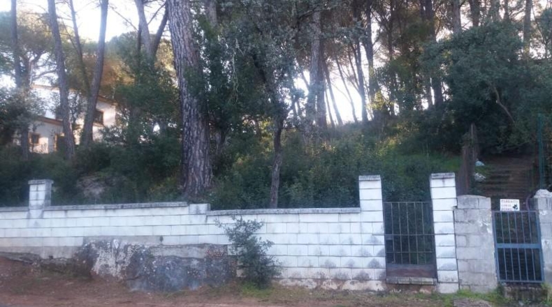 Córdoba - Córdoba - 2200m2