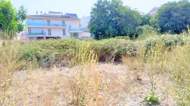 Balearic Islands - Muro - 1082m2